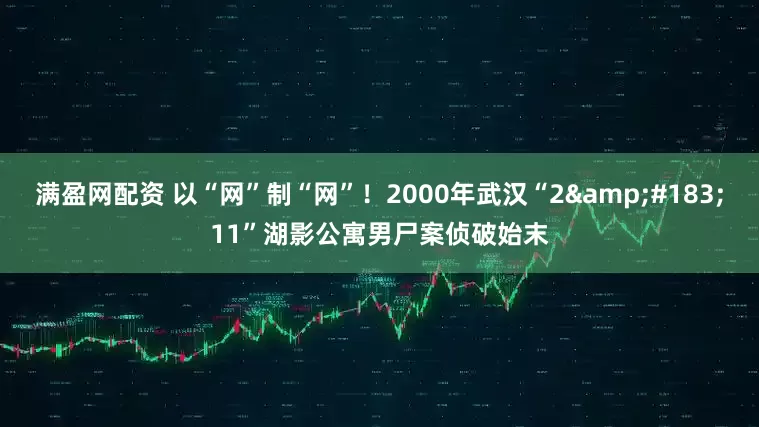 满盈网配资 以“网”制“网”！2000年武汉“2&#183;11”湖影公寓男尸案侦破始末