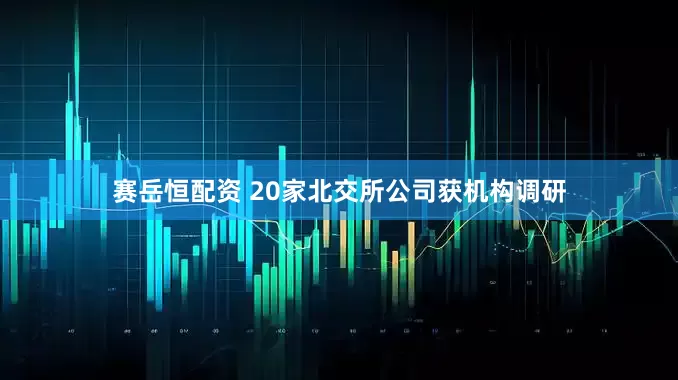 赛岳恒配资 20家北交所公司获机构调研